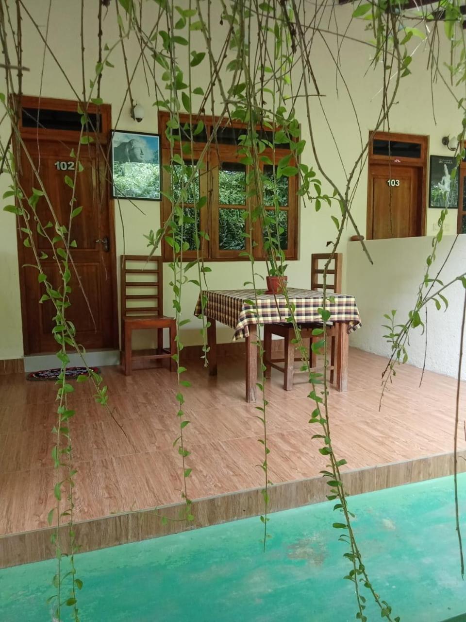 Hotel Udesh Guest Polonnaruwa Exteriér fotografie